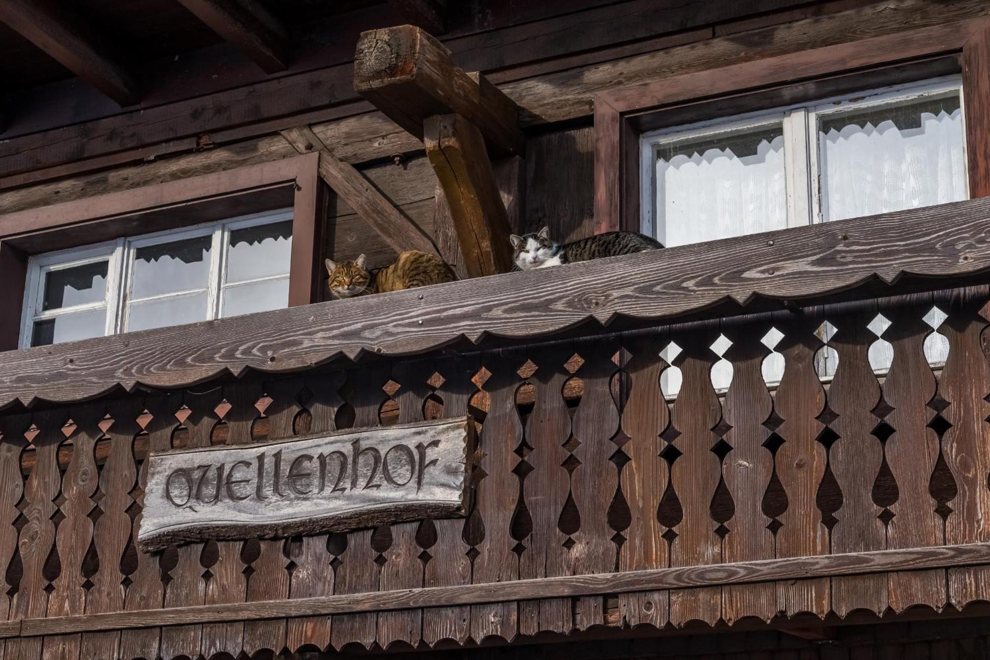 Ferienwohnung Schwarzwaldliebe Frohnd Exterior foto