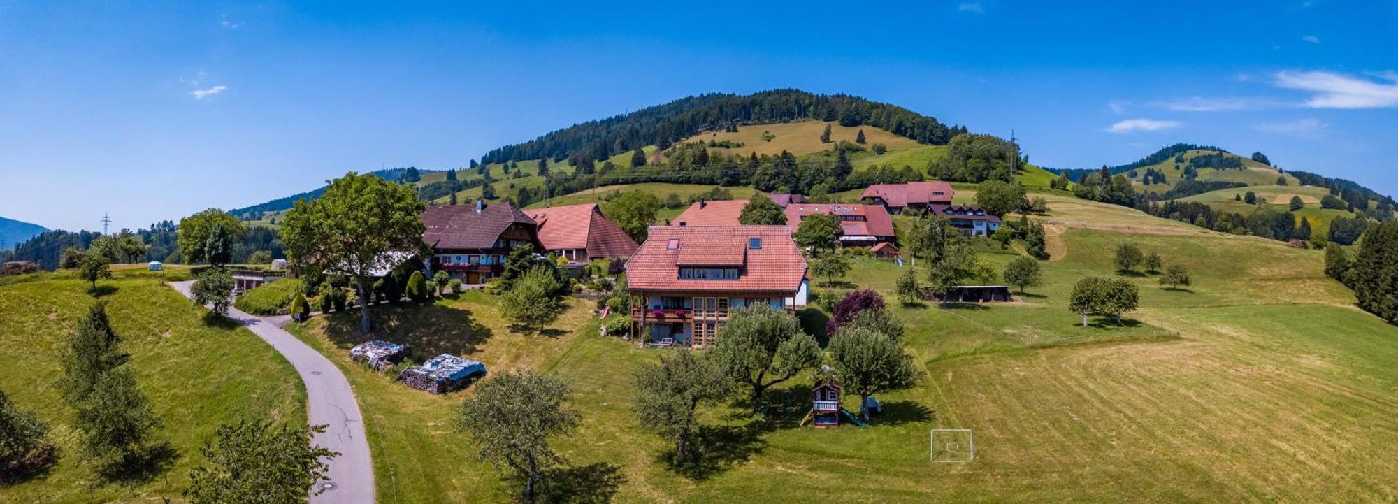 Ferienwohnung Schwarzwaldliebe Frohnd Exterior foto